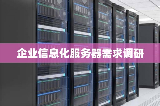 企业信息化服务器需求调研