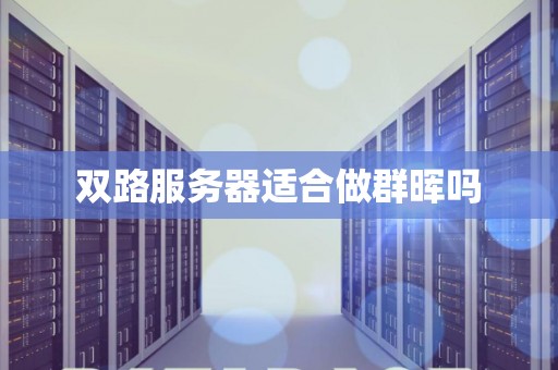 双路服务器适合做群晖吗