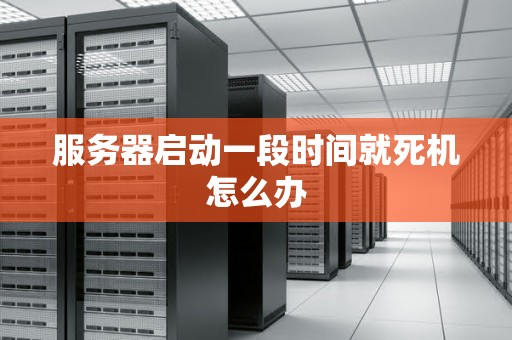 服务器启动一段时间就死机怎么办