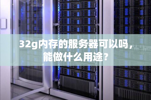 32g内存的服务器可以吗，能做什么用途？