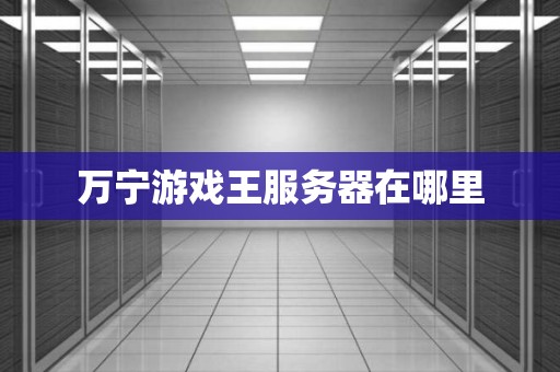 万宁游戏王服务器在哪里
