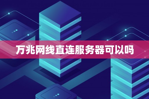 万兆网线直连服务器可以吗