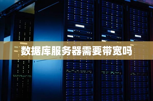 数据库服务器需要带宽吗