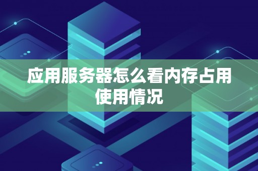 应用服务器怎么看内存占用使用情况