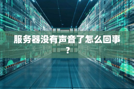 服务器没有声音了怎么回事？