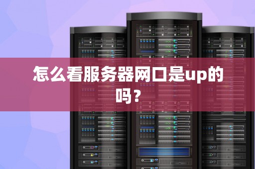 怎么看服务器网口是up的吗？