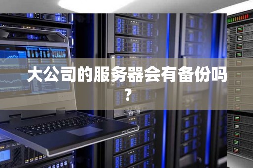 大公司的服务器会有备份吗? 大公司的服务器会有备份吗?