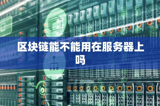区块链能不能用在服务器上吗