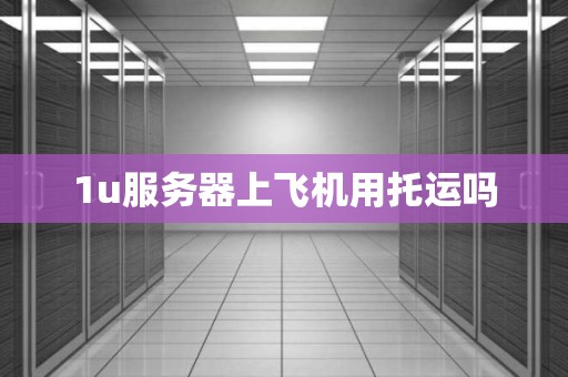 1u服务器上飞机用托运吗