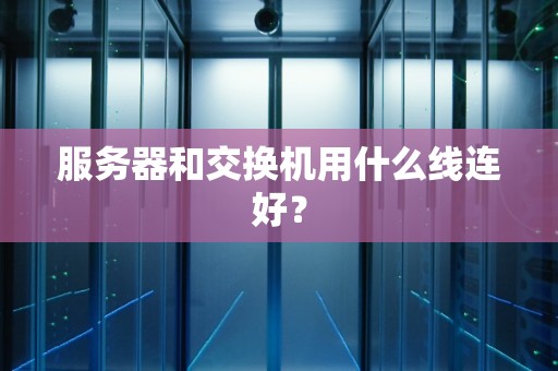 服务器和交换机用什么线连好？