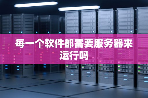 每一个软件都需要服务器来运行吗