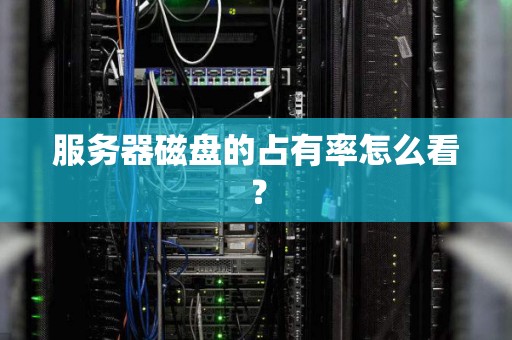 服务器磁盘的占有率怎么看? 服务器磁盘的占有率怎么看?
