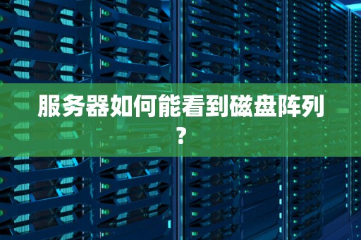 服务器如何能看到磁盘阵列?