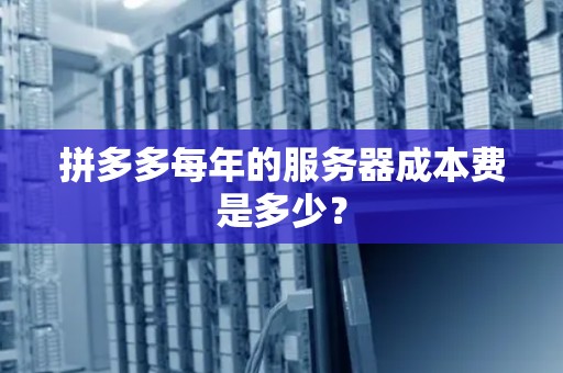 拼多多每年的服务器成本费是多少? 拼多多每年的服务器成本费是多少?
