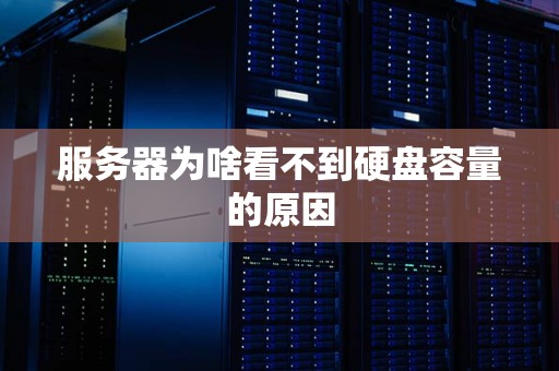 服务器为啥看不到硬盘容量的原因
