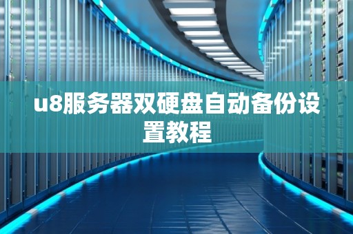 u8服务器双硬盘自动备份设置教程