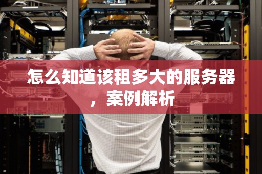 怎么知道该租多大的服务器,案例解析 怎么知道该租多大的服务器,案例解析