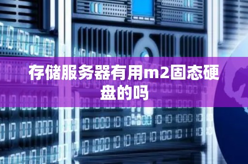 存储服务器有用m2固态硬盘的吗
