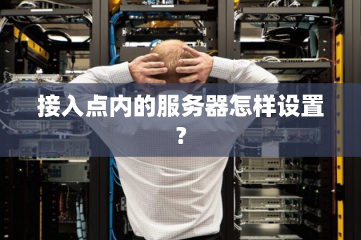 接入点内的服务器怎样设置?