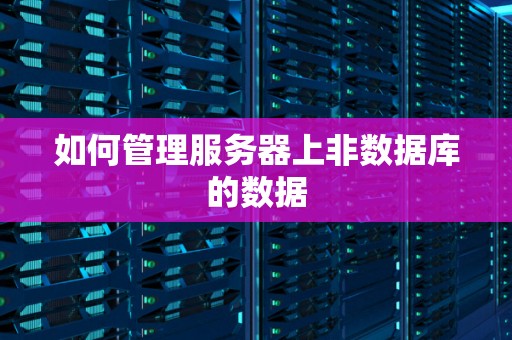如何管理服务器上非数据库的数据 如何管理服务器上非数据库的数据