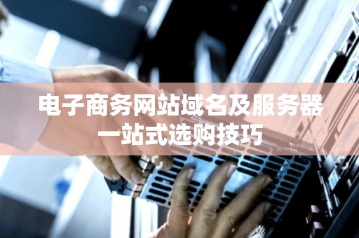 电子商务网站域名及服务器一站式选购技巧