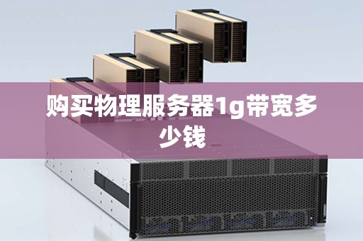 购买物理服务器1g带宽多少钱 购买物理服务器1g带宽多少钱