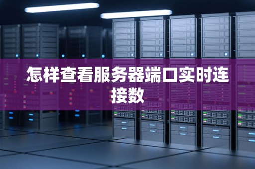 怎样查看服务器端口实时连接数 怎样查看服务器端口实时连接数