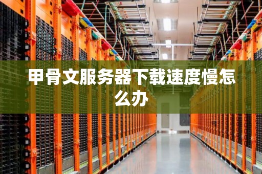 甲骨文服务器下载速度慢怎么办 甲骨文服务器下载速度慢怎么办