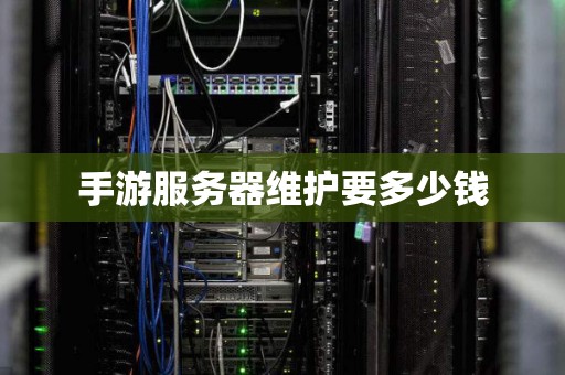 手游服务器维护要多少钱 手游服务器维护要多少钱