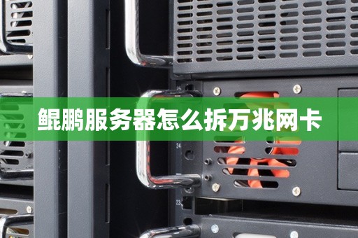 鲲鹏服务器怎么拆万兆网卡 鲲鹏服务器怎么拆万兆网卡