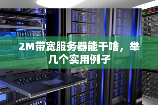 2M带宽服务器能干啥,举几个实用例子 2M带宽服务器能干啥,举几个实用例子