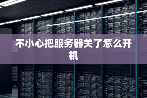 不小心把服务器关了怎么开机