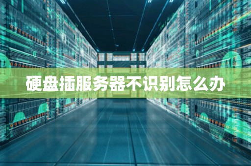 硬盘插服务器不识别怎么办 硬盘插服务器不识别怎么办