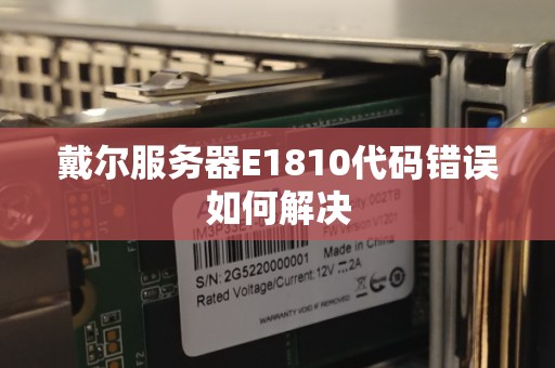 戴尔服务器E1810代码错误如何解决