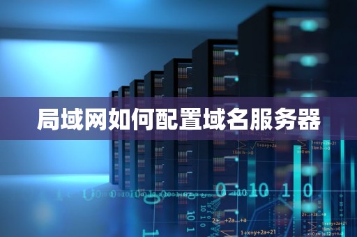局域网如何配置域名服务器
