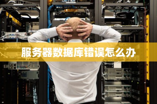 服务器数据库错误怎么办