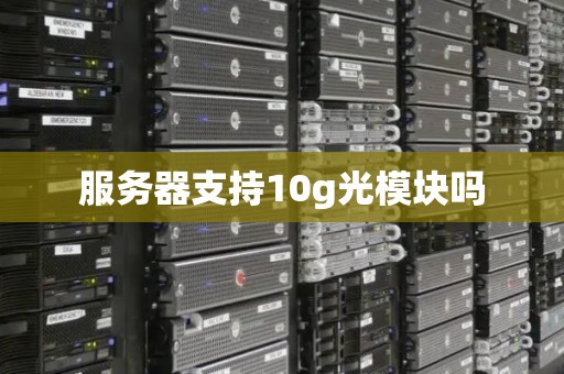 服务器支持10g光模块吗