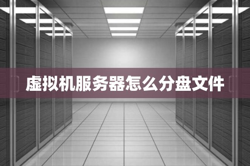 虚拟机服务器怎么分盘文件
