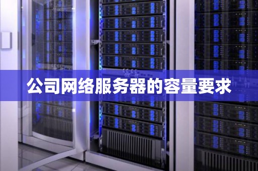 公司网络服务器的容量要求