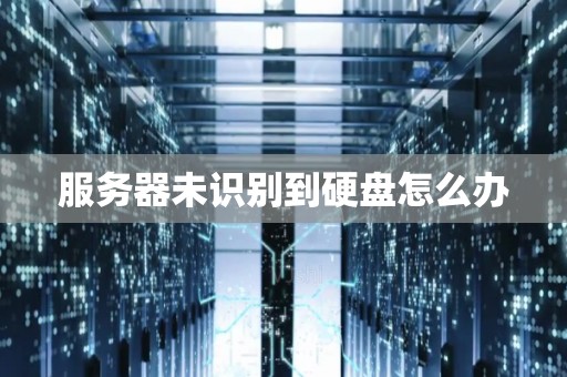 服务器未识别到硬盘怎么办