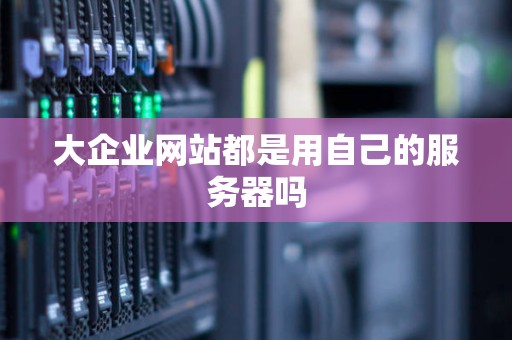 大企业网站都是用自己的服务器吗
