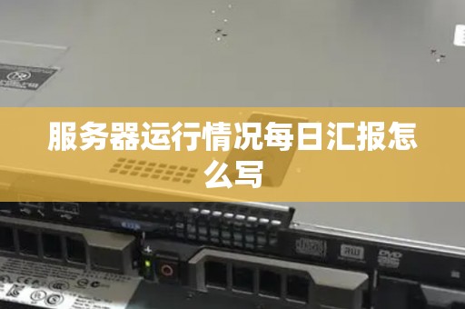 服务器运行情况每日汇报怎么写
