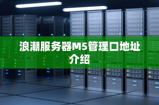 浪潮服务器M5管理口地址介绍