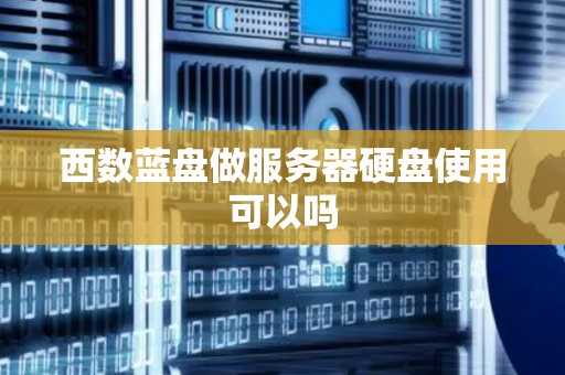 西数蓝盘做服务器硬盘使用可以吗