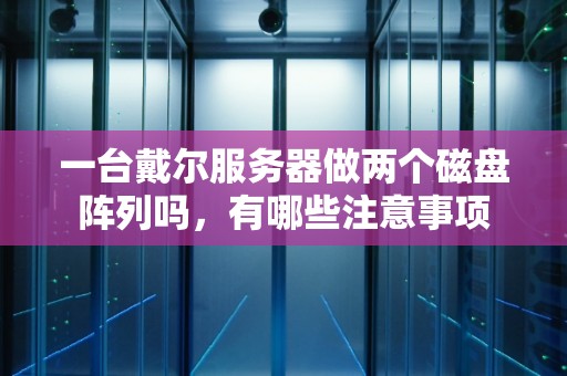 一台戴尔服务器做两个磁盘阵列吗，有哪些注意事项