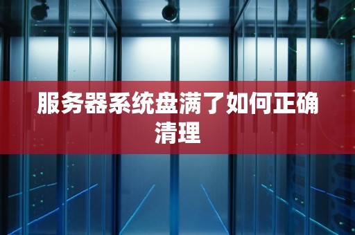 服务器系统盘满了如何正确清理