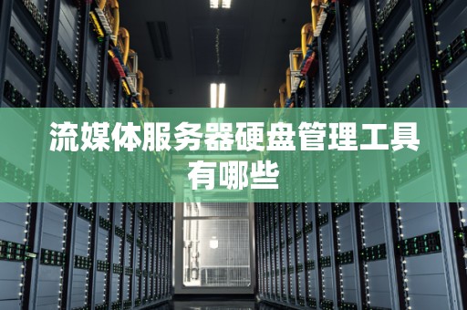 流媒体服务器硬盘管理工具有哪些