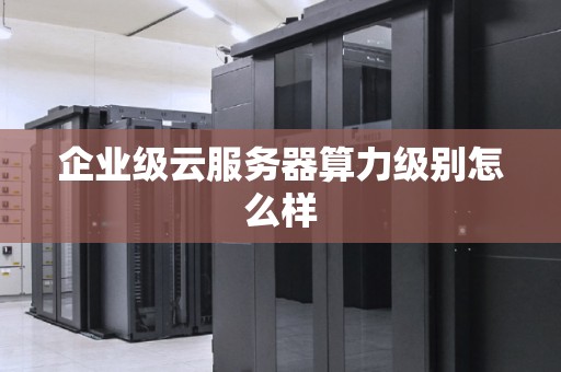 企业级云服务器算力级别怎么样