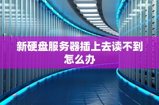 新硬盘服务器插上去读不到怎么办