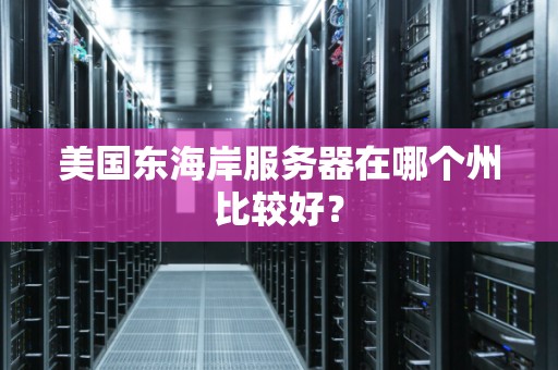 美国东海岸服务器在哪个州比较好？